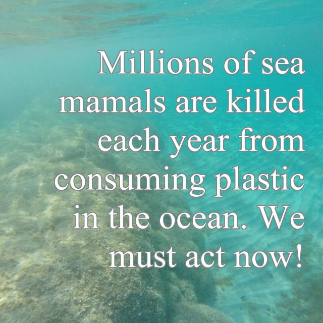 Millions of sea mamals are killed each year from consuming plastic in the ocean. We must act now!