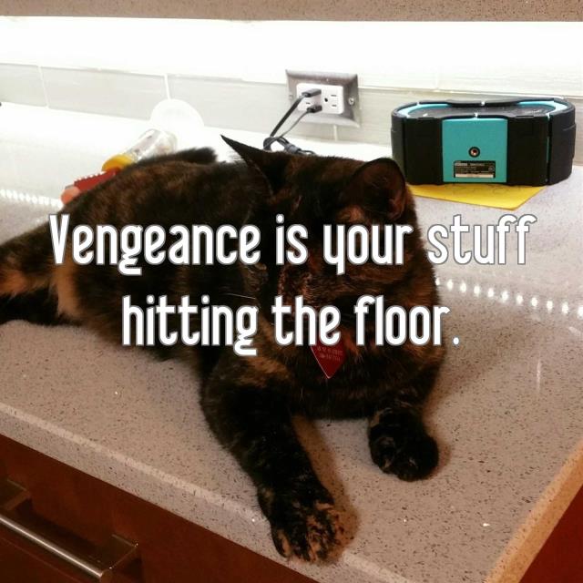 Vengeance is your stuff hitting the floor.