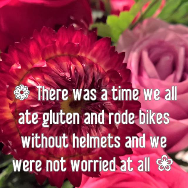 ❁ There was a time we all ate gluten and rode bikes without helmets and we were not worried at all ❀