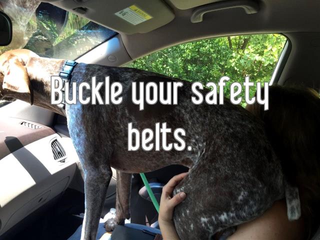 Buckle your safety belts.