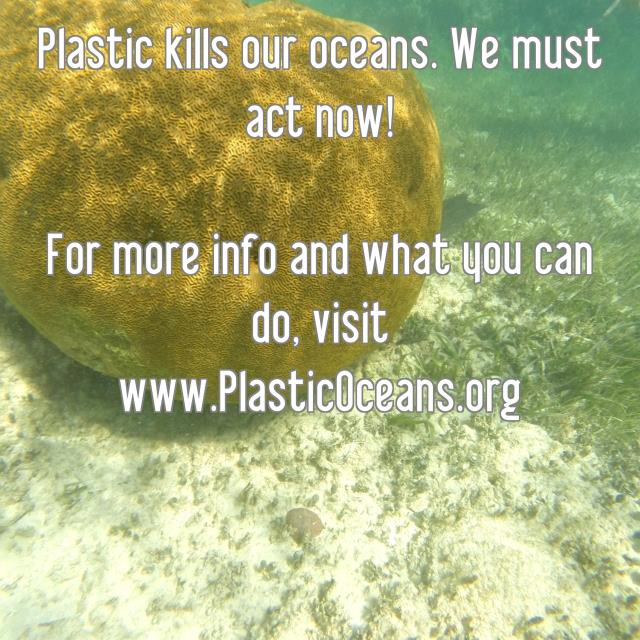 Plastic kills our oceans. We must act now! For more info and what you can do, visit www.PlasticOceans.org