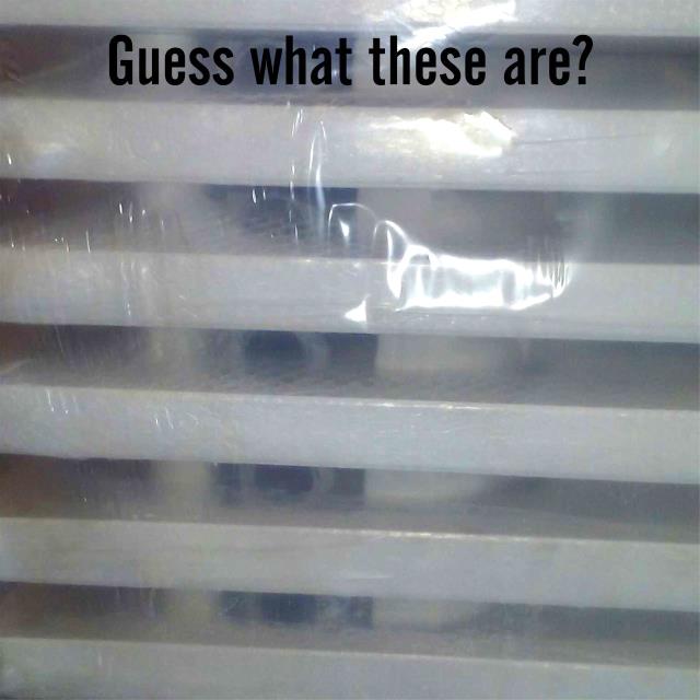 Guess what these are?