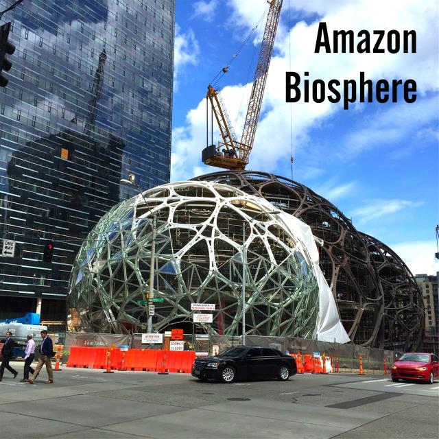 Amazon Biosphere