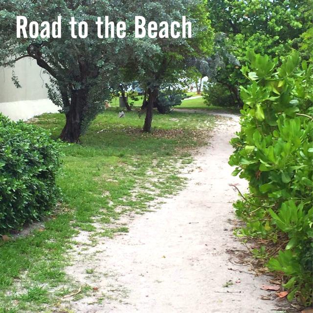 Road to the Beach